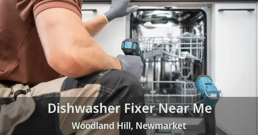 Dishwasher Fixer Near Me Woodland Hill, Newmarket - ON