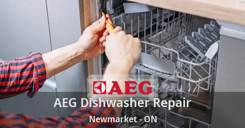 AEG Dishwasher Repair Newmarket - ON