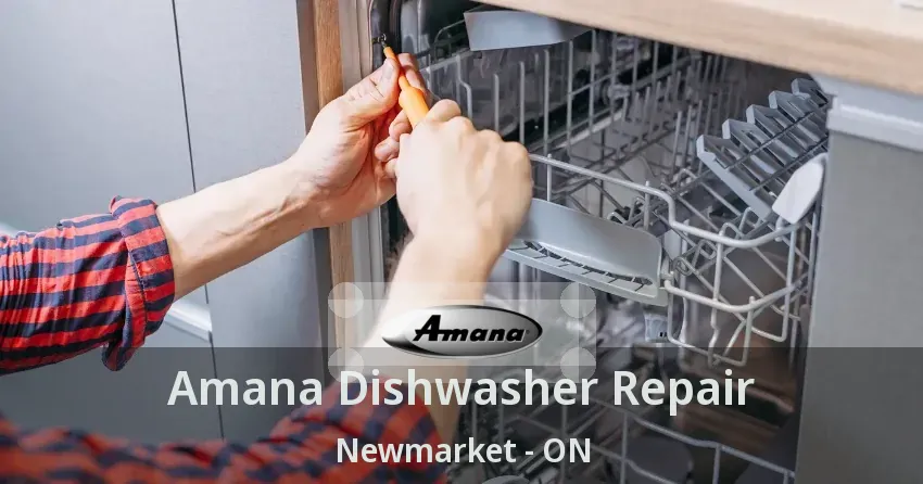 Amana Dishwasher Repair Newmarket - ON