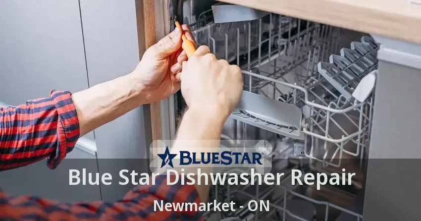 Blue Star Dishwasher Repair Newmarket - ON