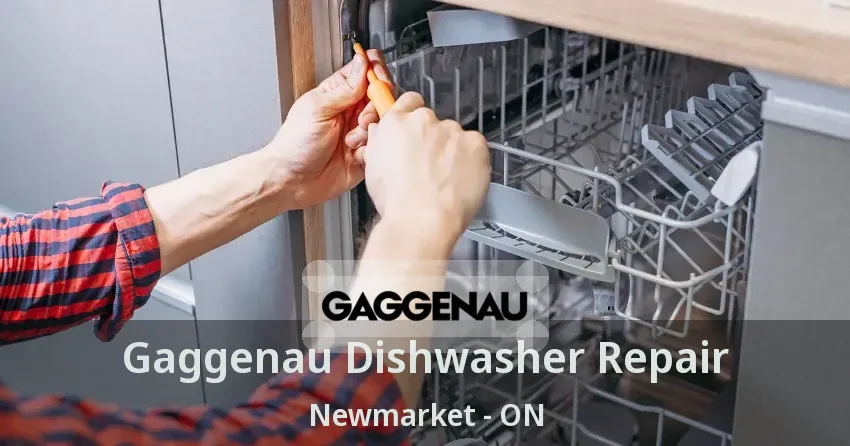 Gaggenau Dishwasher Repair Newmarket - ON