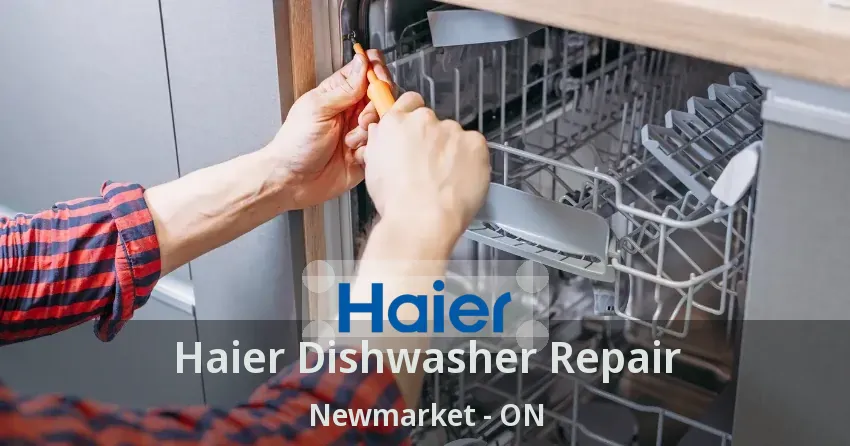 Haier Dishwasher Repair Newmarket - ON