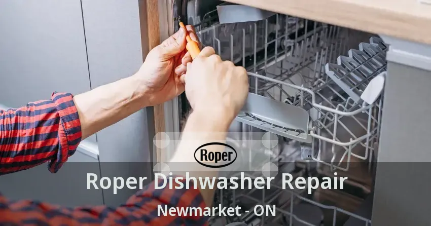Roper Dishwasher Repair Newmarket - ON