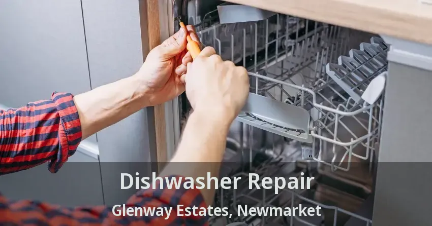 Dishwasher Repair Glenway Estates, Newmarket - ON