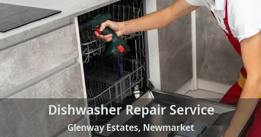 Dishwasher Repair Service Glenway Estates, Newmarket - ON
