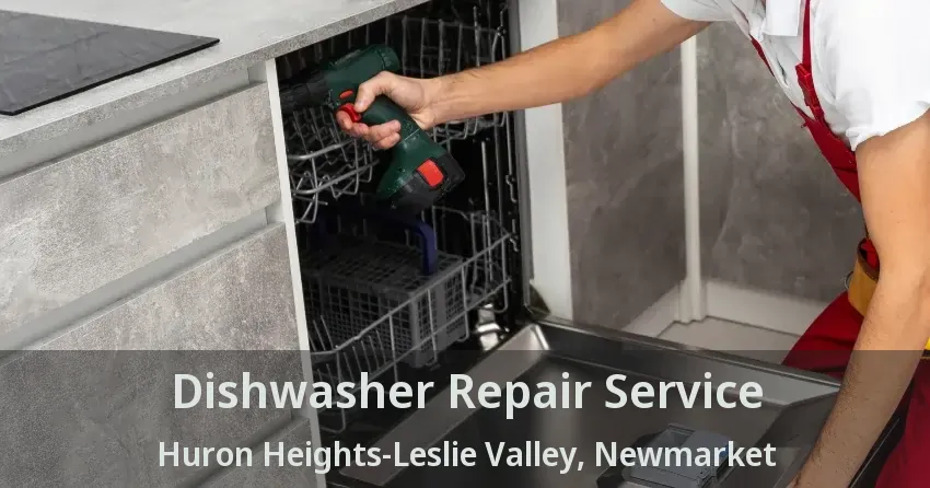 Dishwasher Repair Service Huron Heights-Leslie Valley, Newmarket - ON