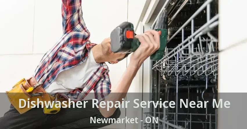 Dishwasher Repair Service Near Me Newmarket - ON