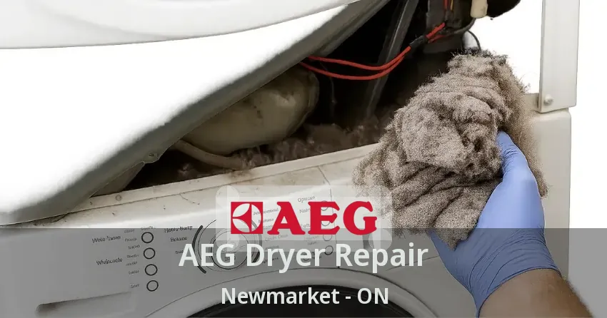 AEG Dryer Repair Newmarket - ON