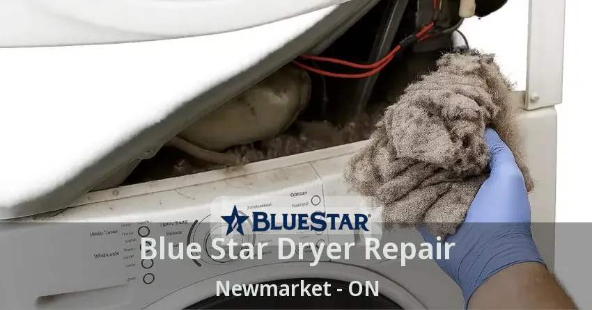 Blue Star Dryer Repair Newmarket - ON