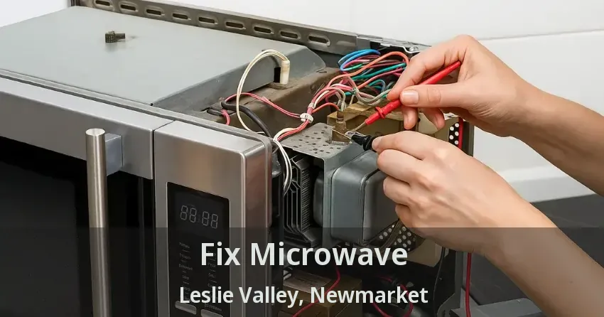 Fix Microwave Leslie Valley, Newmarket - ON
