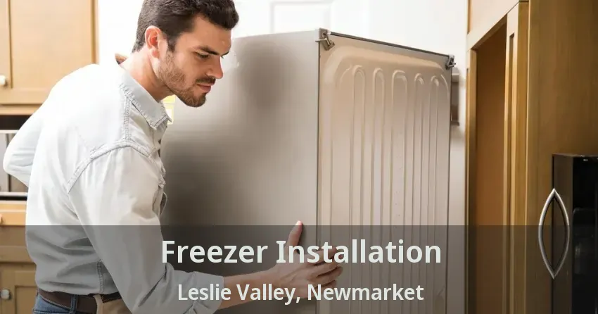 Freezer Installation Leslie Valley, Newmarket - ON