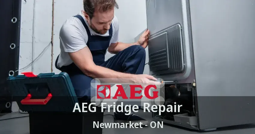 AEG Fridge Repair Newmarket - ON