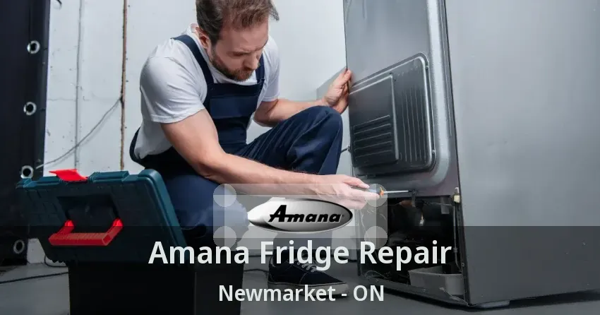 Amana Fridge Repair Newmarket - ON