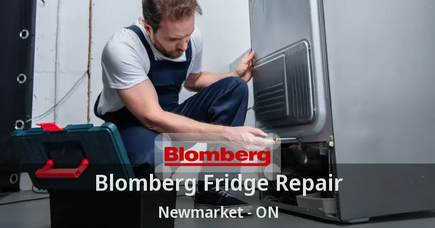 Blomberg Fridge Repair Newmarket - ON