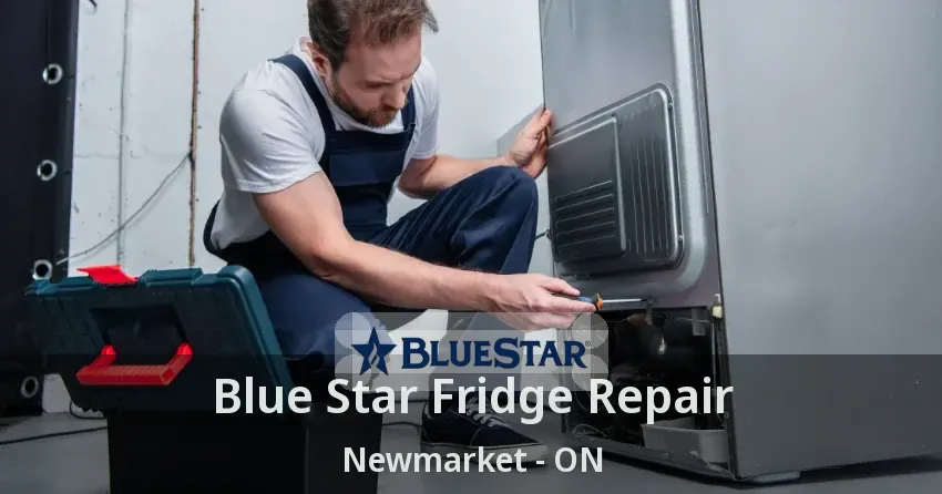 Blue Star Fridge Repair Newmarket - ON