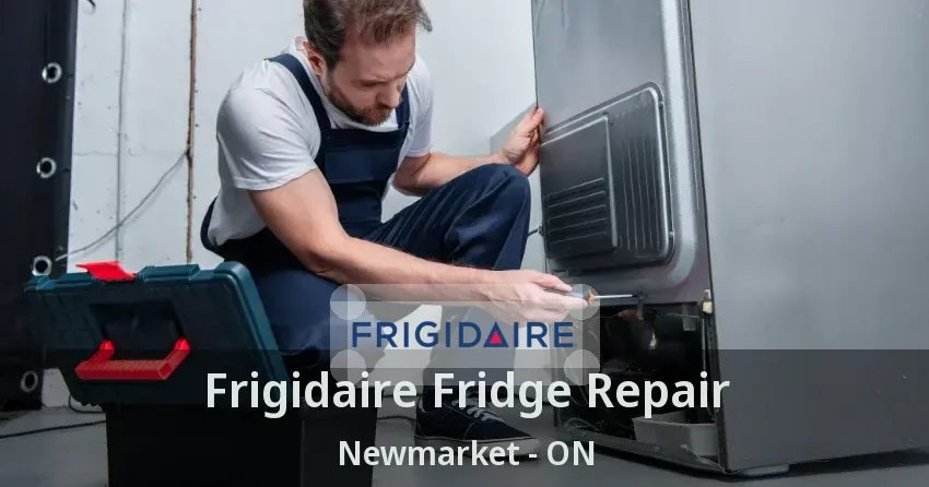 Frigidaire Fridge Repair Newmarket - ON