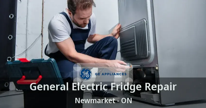 General Electric Fridge Repair Newmarket - ON