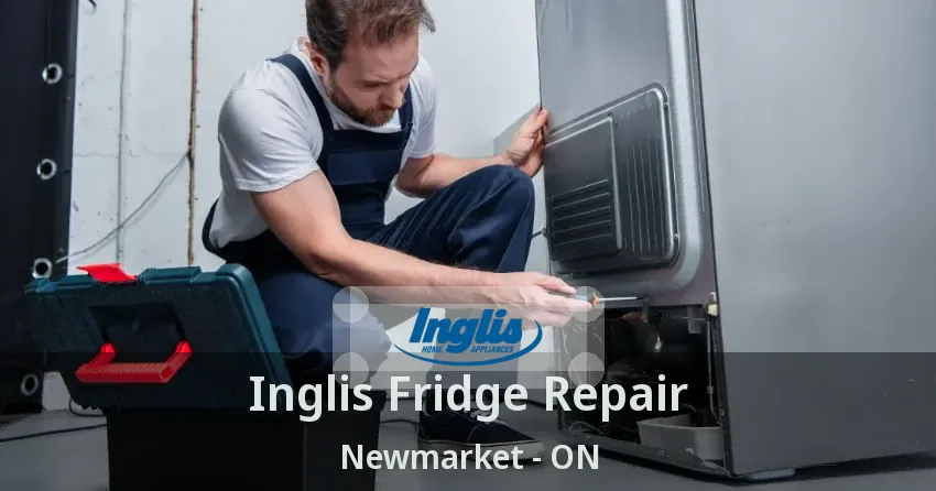 Inglis Fridge Repair Newmarket - ON