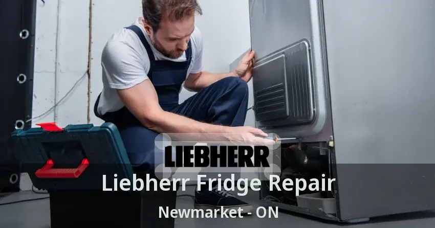 Liebherr Fridge Repair Newmarket - ON
