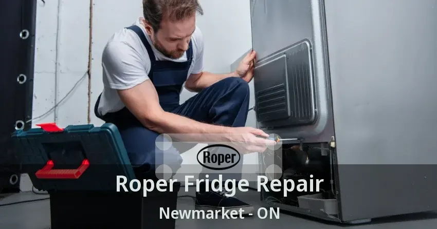 Roper Fridge Repair Newmarket - ON