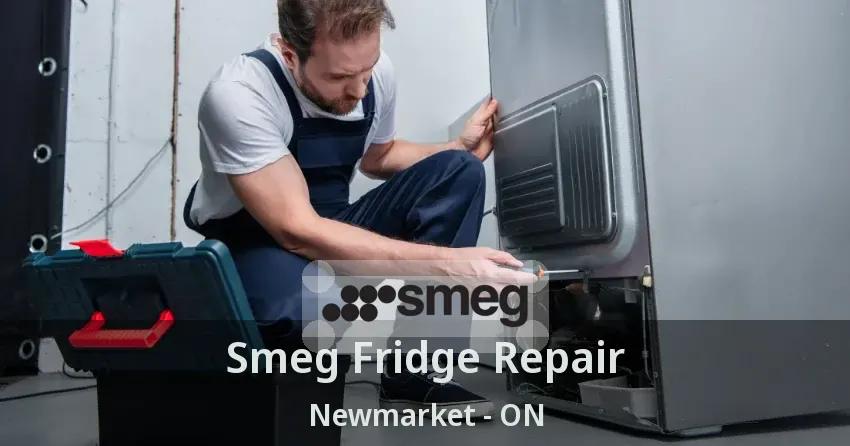 Smeg Fridge Repair Newmarket - ON