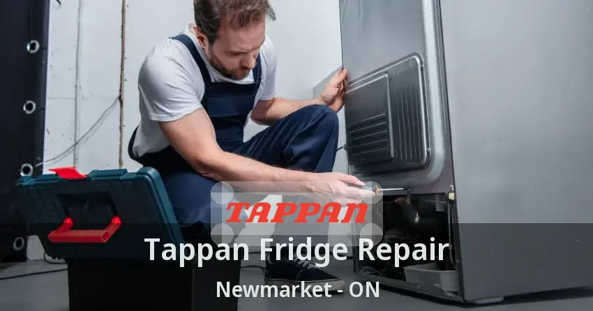 Tappan Fridge Repair Newmarket - ON