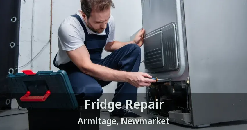 Fridge Repair Armitage, Newmarket - ON