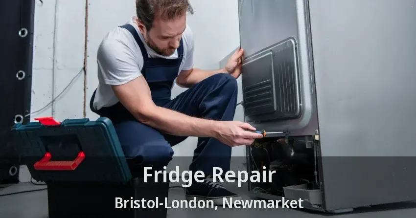 Fridge Repair Bristol-London, Newmarket - ON