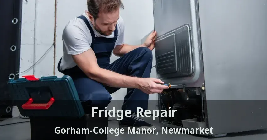 Fridge Repair Gorham-College Manor, Newmarket - ON
