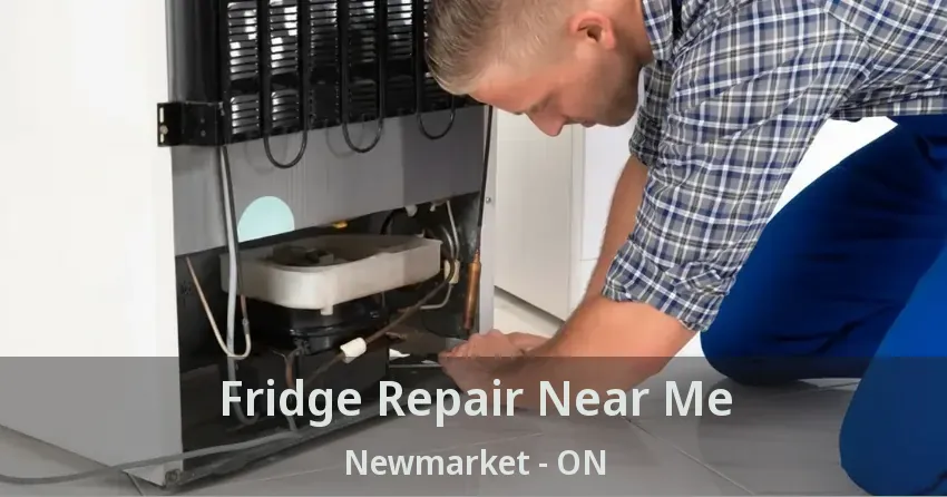 Fridge Repair Near Me Newmarket - ON