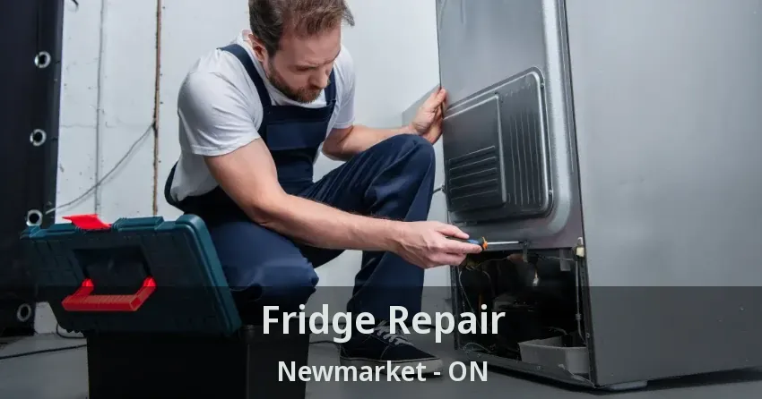 Fridge Repair Newmarket - ON