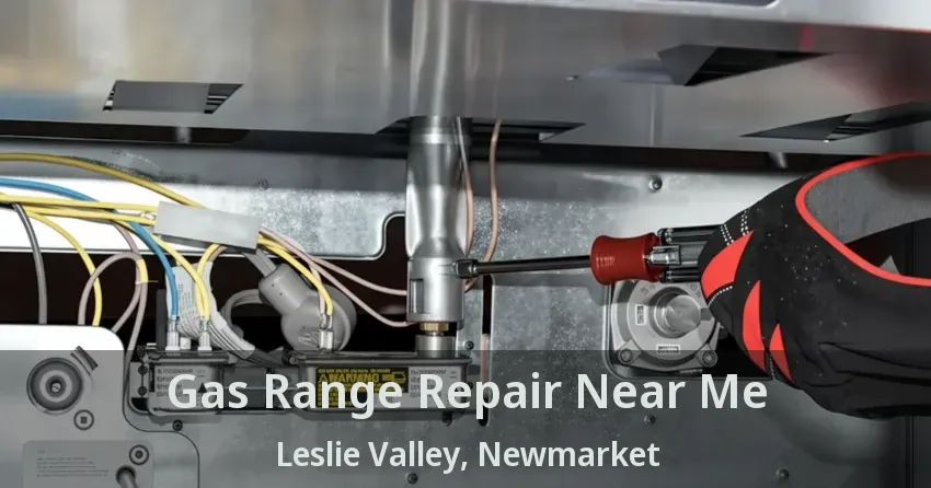 Gas Range Repair Near Me Leslie Valley, Newmarket - ON