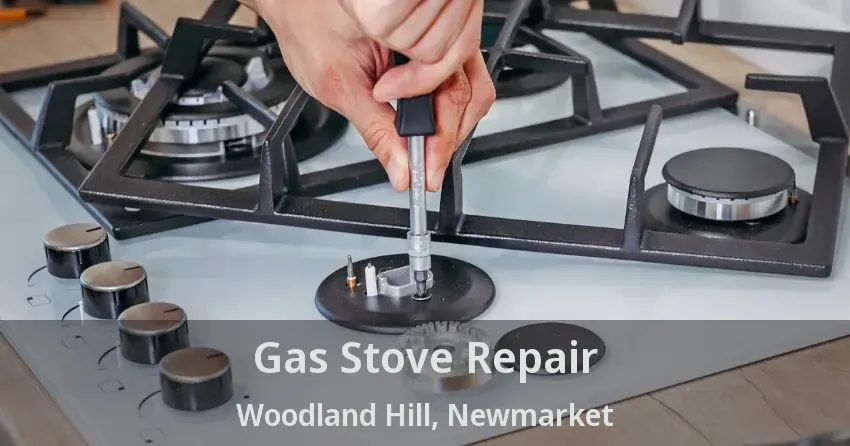 Gas Stove Repair Woodland Hill, Newmarket - ON