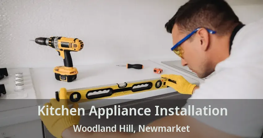 Kitchen Appliance Installation Woodland Hill, Newmarket - ON