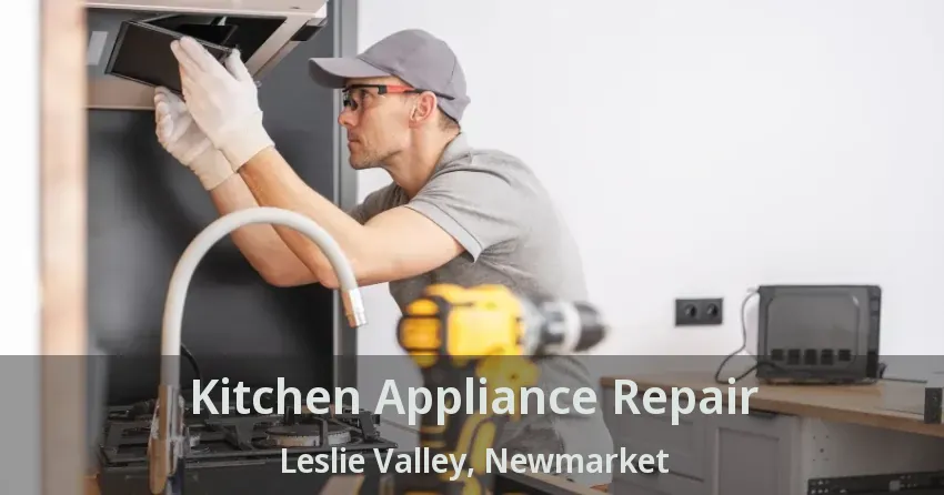 Kitchen Appliance Repair Leslie Valley, Newmarket - ON
