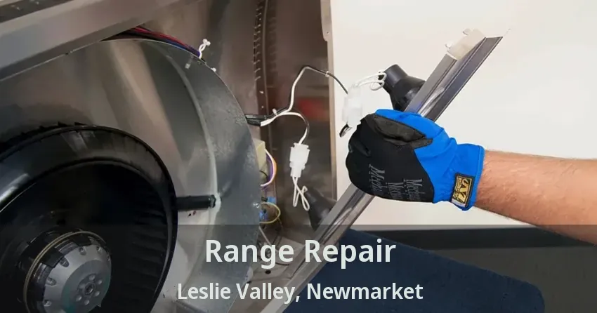 Range Repair Leslie Valley, Newmarket - ON