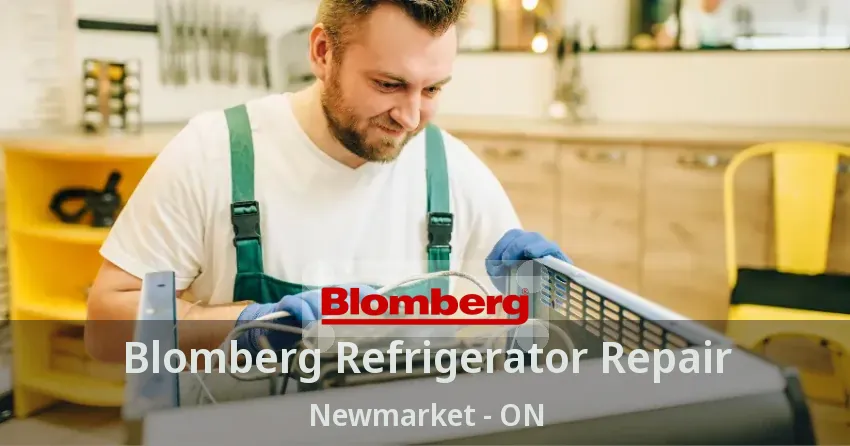 Blomberg Refrigerator Repair Newmarket - ON