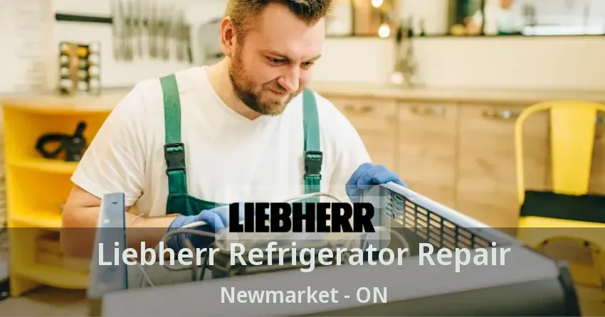 Liebherr Refrigerator Repair Newmarket - ON
