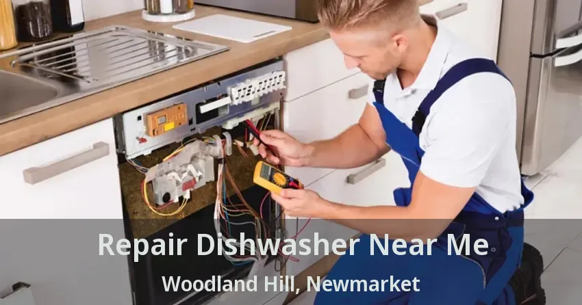 Repair Dishwasher Near Me Woodland Hill, Newmarket - ON