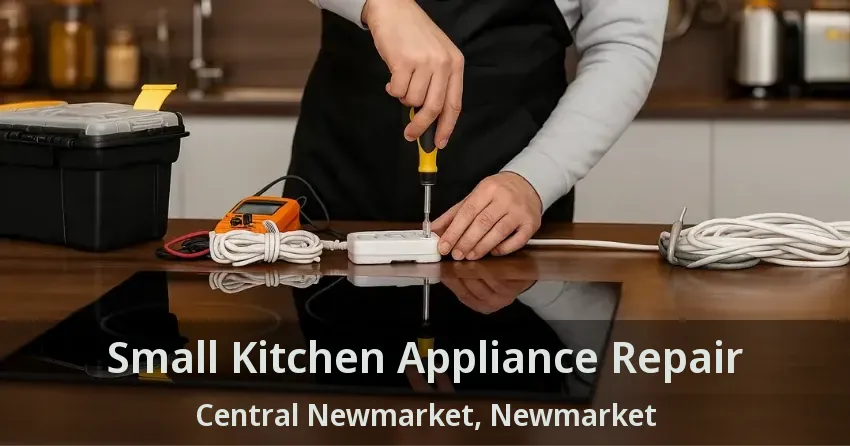 Small Kitchen Appliance Repair Central Newmarket, Newmarket - ON