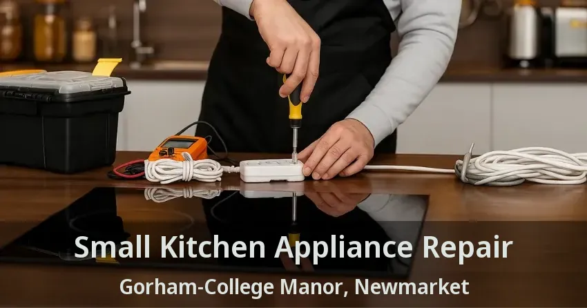 Small Kitchen Appliance Repair Gorham-College Manor, Newmarket - ON