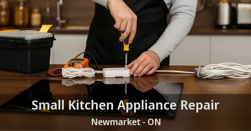 Small Kitchen Appliance Repair Newmarket - ON