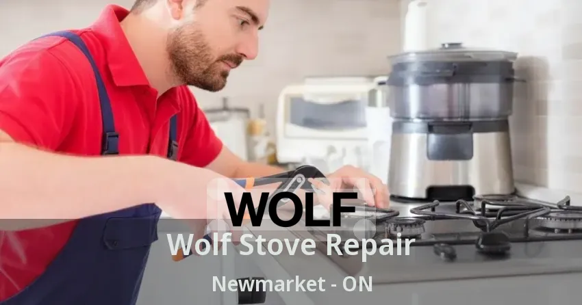 Wolf Stove Repair Newmarket - ON